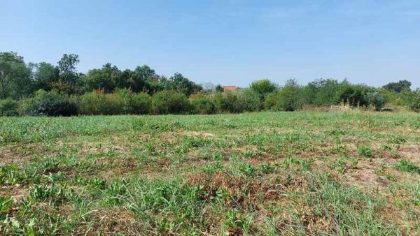 Slika 4 -  Plac na prodaju, Lazarevac, Šopić, 99.000€