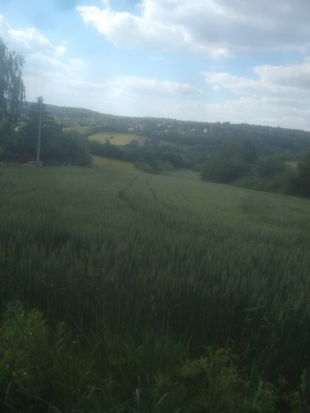 Slika 1 -  Plac na prodaju, Sopot, Babe, 90.000€