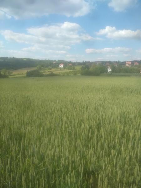 Glavna slika - Plac na prodaju, Sopot, Babe, 90.000€