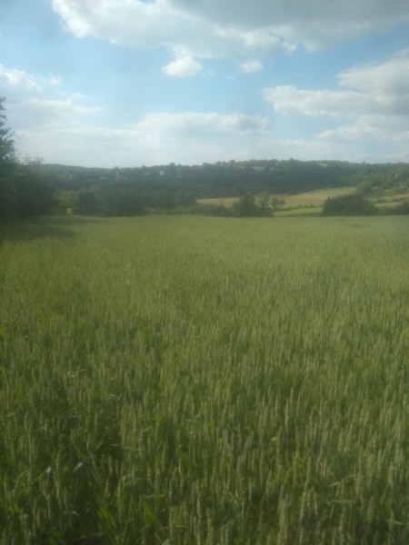 Slika 5 -  Plac na prodaju, Sopot, Babe, 90.000€