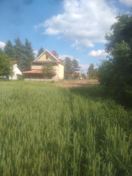 Slika 8 -  Plac na prodaju, Sopot, Babe, 90.000€