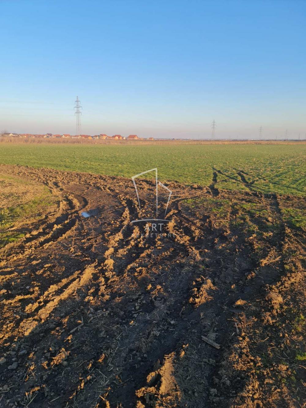 Glavna slika - Plac na prodaju, Zemun, Batajnica, 163.000€