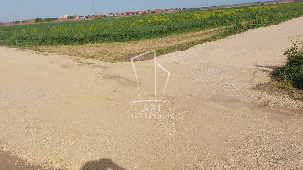 Slika 1 - Male međe nova 33. Poljoprivredno zemljište na prodaju, Zemun, Batajnica, 246.000€