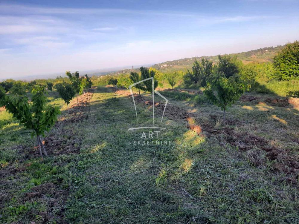 Slika 2 -  Poljoprivredno zemljište na prodaju, Grocka, Grocka, 30.000€