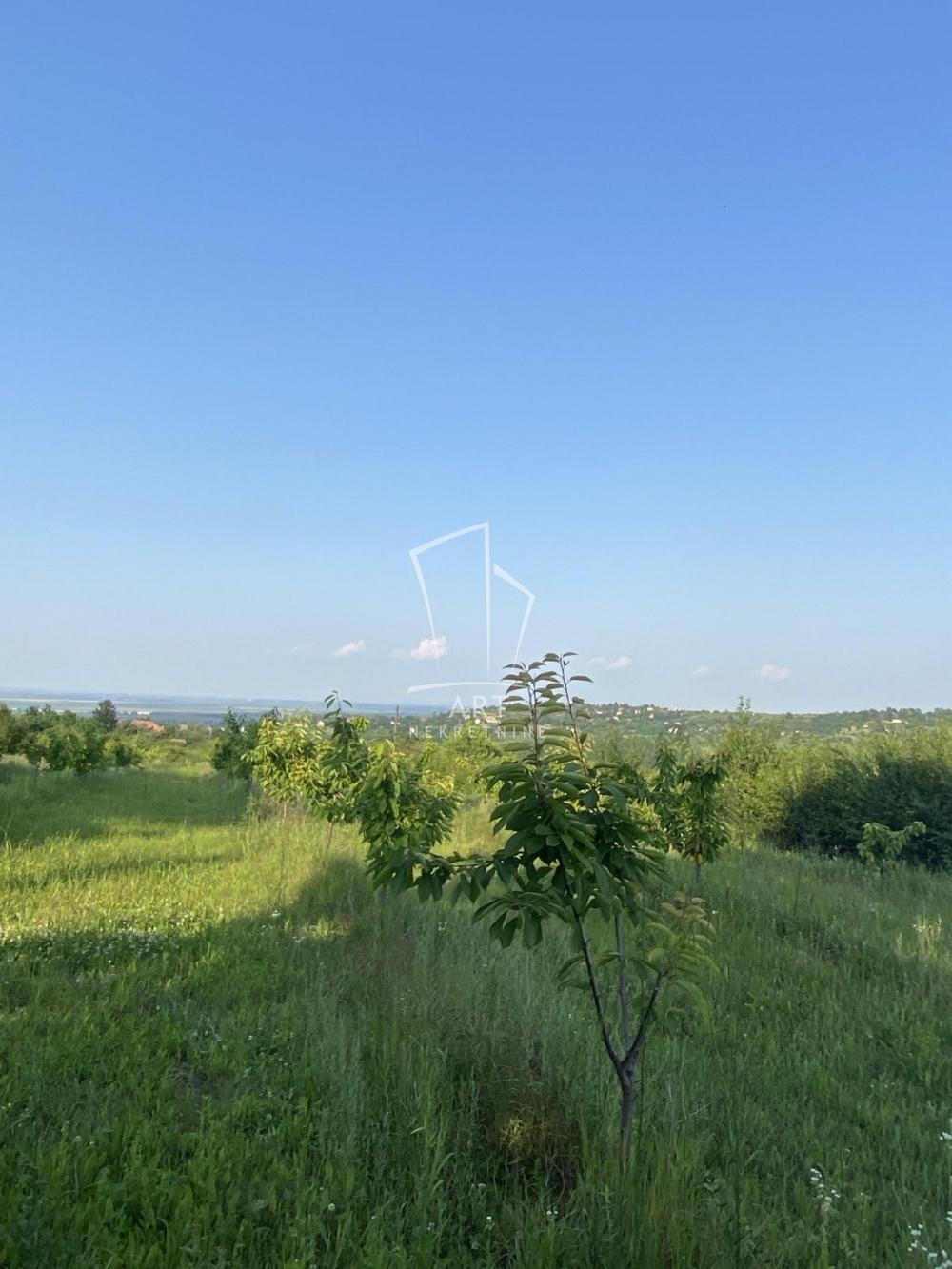 Slika 3 -  Poljoprivredno zemljište na prodaju, Grocka, Grocka, 30.000€