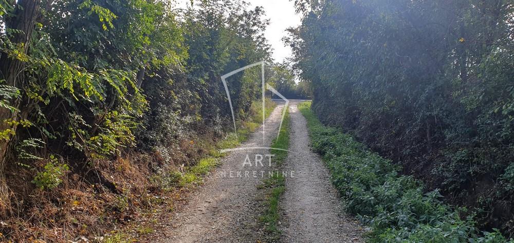 Slika 3 -  Plac na prodaju, Sopot, Rogača, 165.000€