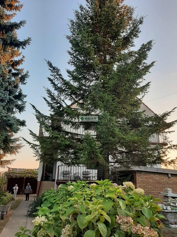 Slika 4 - Mostanicka, Kuća na prodaju, 480m2, 250.000€