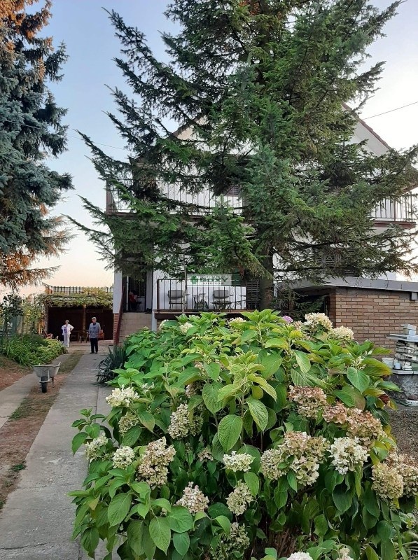 Slika 5 - Mostanicka, Kuća na prodaju, 480m2, 250.000€