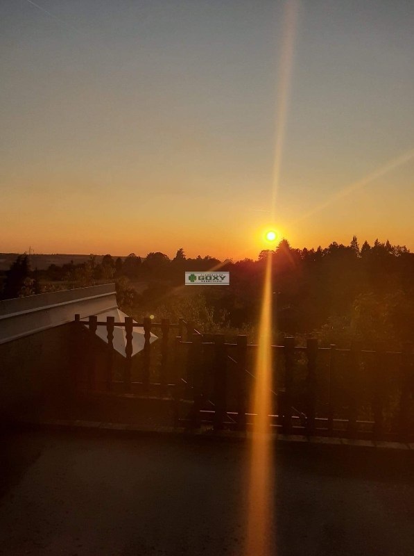 Slika 6 - Mostanicka, Kuća na prodaju, 480m2, 250.000€