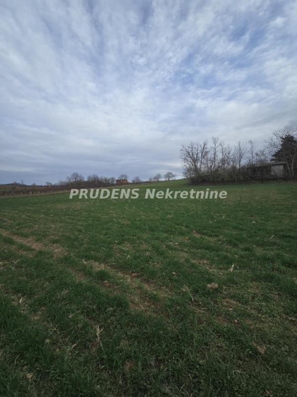 Slika 6 -  Plac na prodaju, Sopot, Mali Požarevac, 35.000€