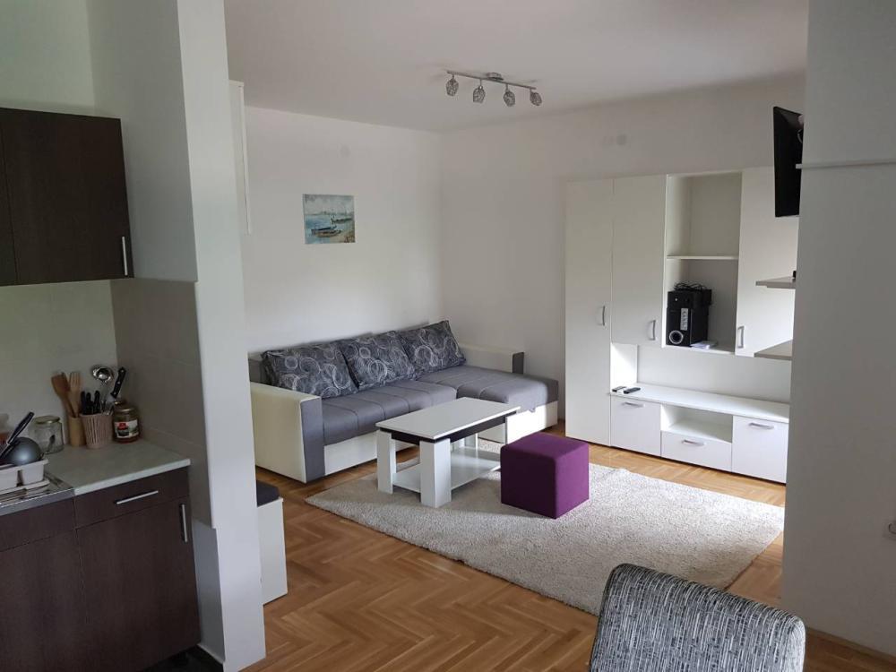 Glavna slika -Vuka Karadžića 20, Jednosoban stan za izdavanje, 30m2, 320€