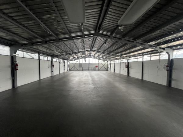 Glavna slika oglasa 339632