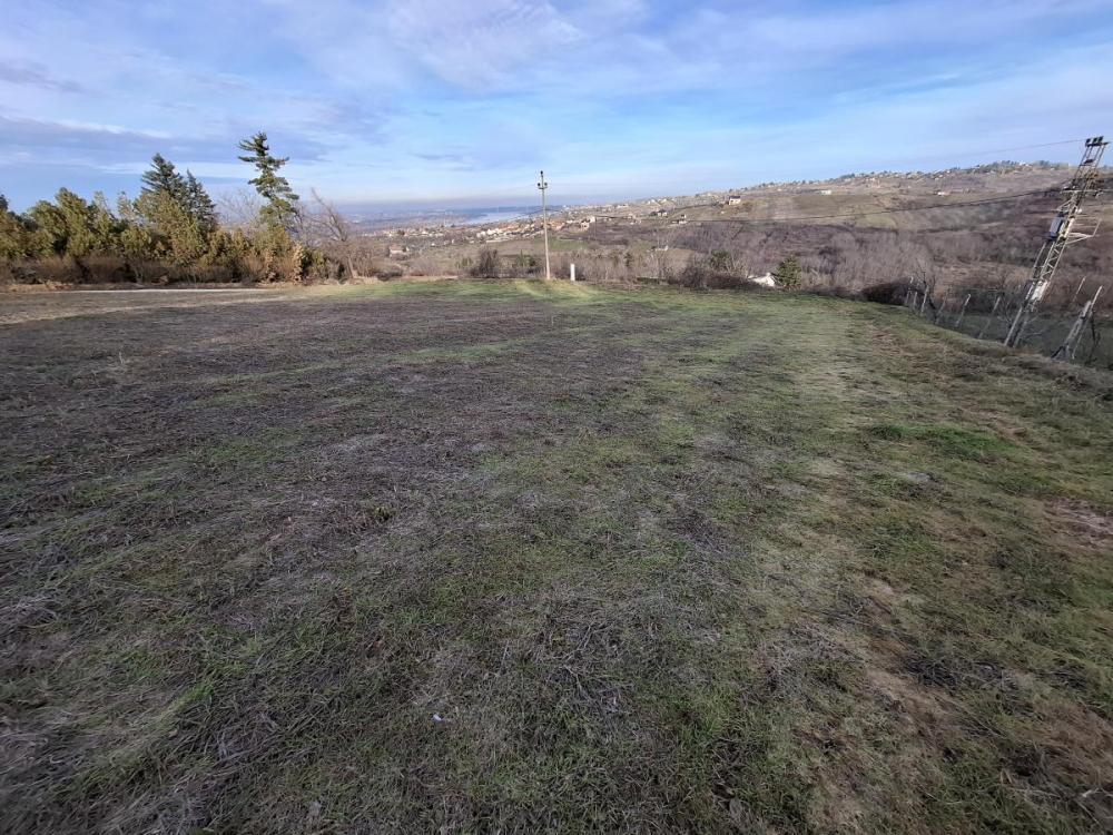 Glavna slika - Plac na prodaju, Ledinci, , 89.900€