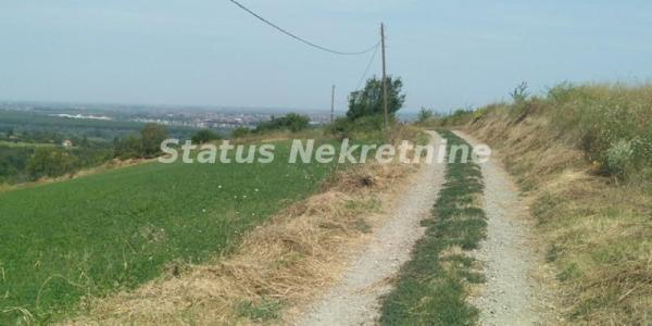 Slika 7 -  Plac na prodaju, Ledinci, , 393.400€