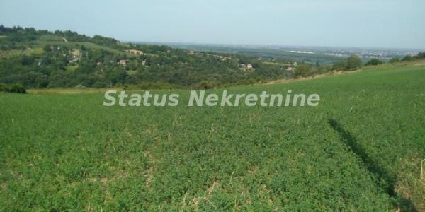 Glavna slika - Plac na prodaju, Ledinci, , 393.400€