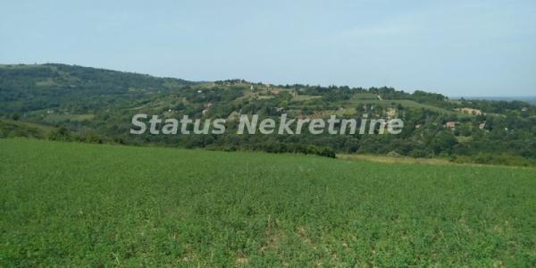 Slika 2 -  Plac na prodaju, Ledinci, , 393.400€