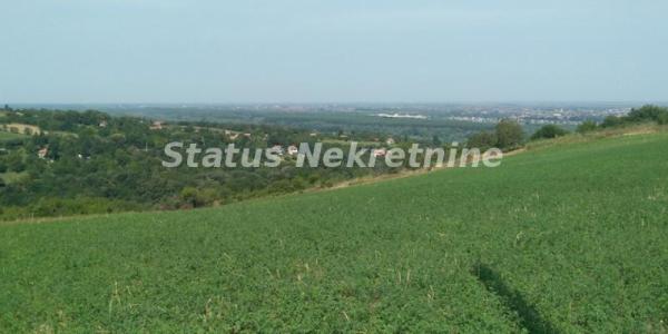 Slika 6 -  Plac na prodaju, Ledinci, , 393.400€