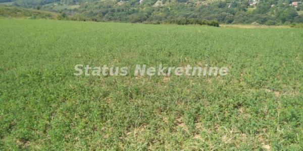 Slika 1 -  Plac na prodaju, Ledinci, , 393.400€