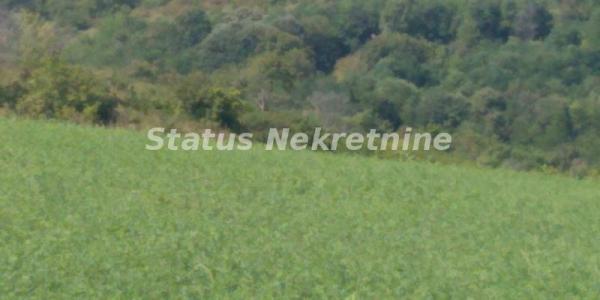 Slika 5 -  Plac na prodaju, Ledinci, , 393.400€