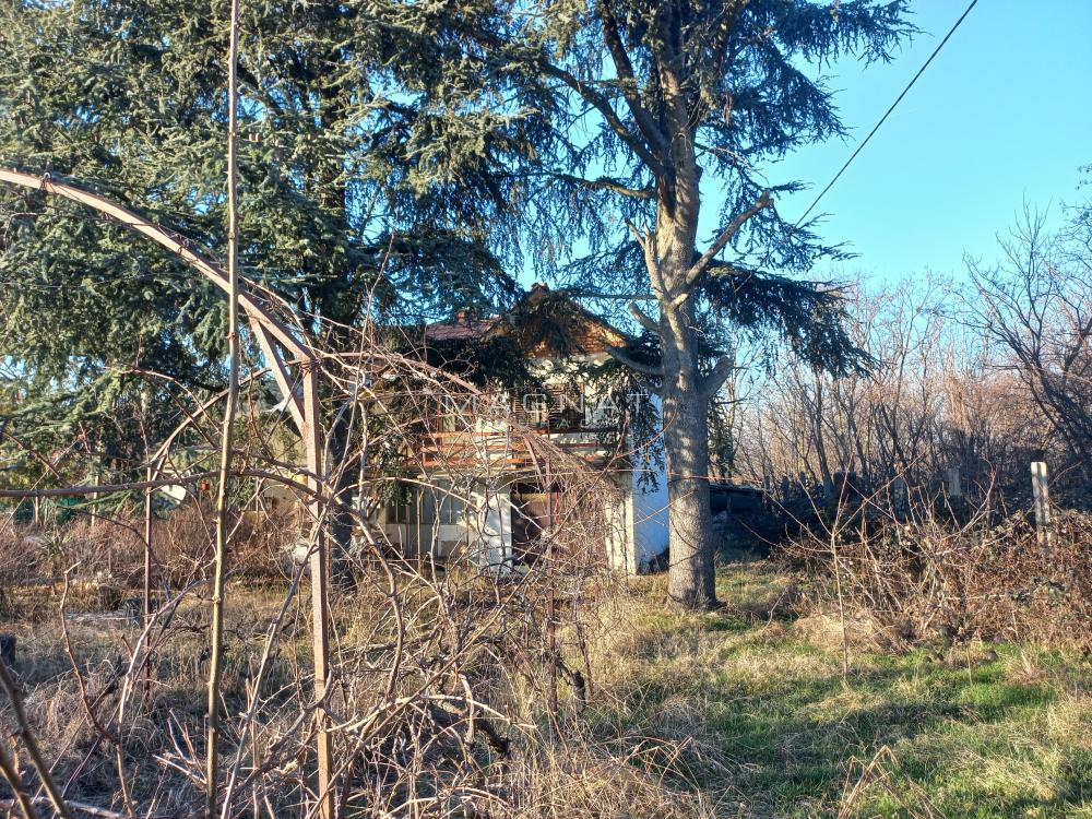 Glavna slika oglasa 341500