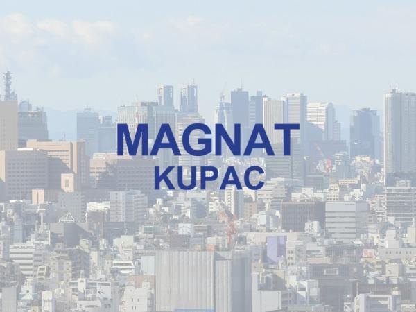 Glavna slika - Plac na prodaju, Čukarica, Makiš, 129.900€