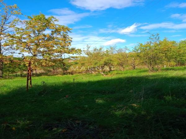 Slika 1 - Vrbovno Plac na prodaju, Lazarevac, Vrbovno, 15.000€