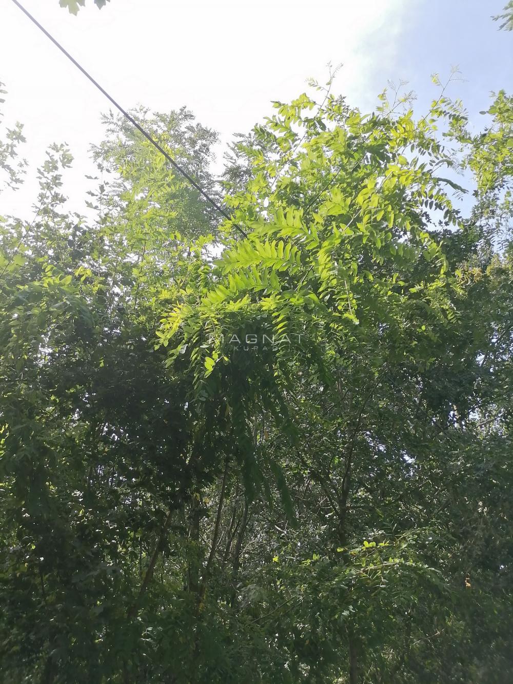 Glavna slika -Lipovačka,  Kuća na prodaju, 120m2, 125.000€