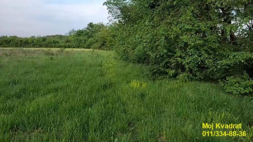 Slika 3 -  Plac na prodaju, Obrenovac, Draževac, 40.500€
