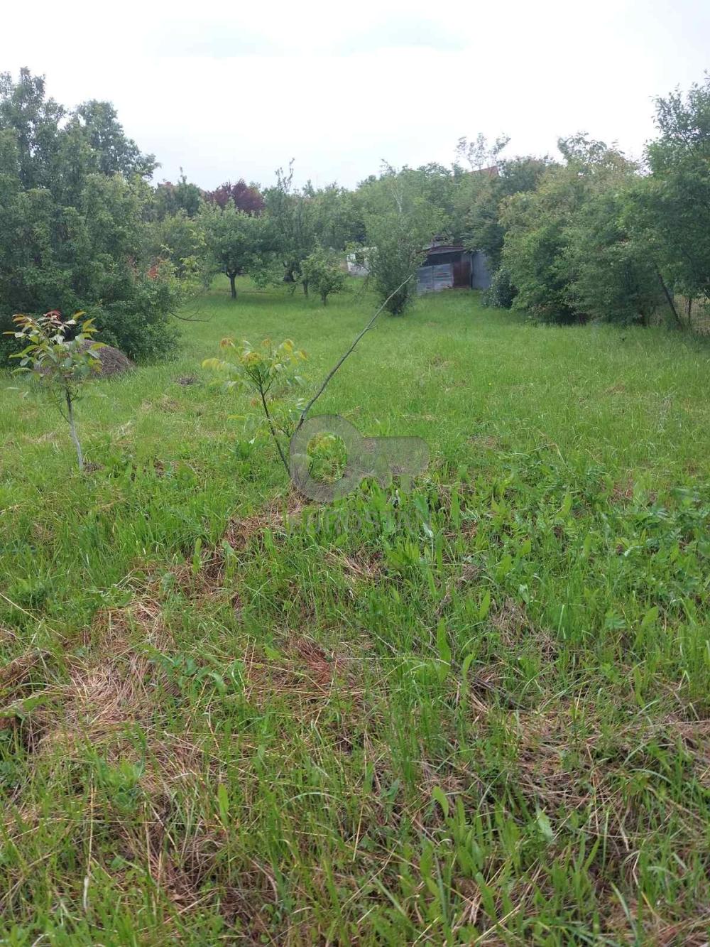 Slika 11 - Milinka Jelića,  Kuća na prodaju, 99m2, 59.000€