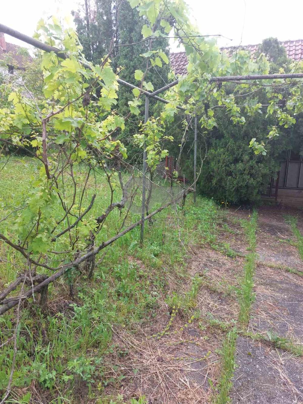 Slika 6 - Milinka Jelića,  Kuća na prodaju, 99m2, 59.000€