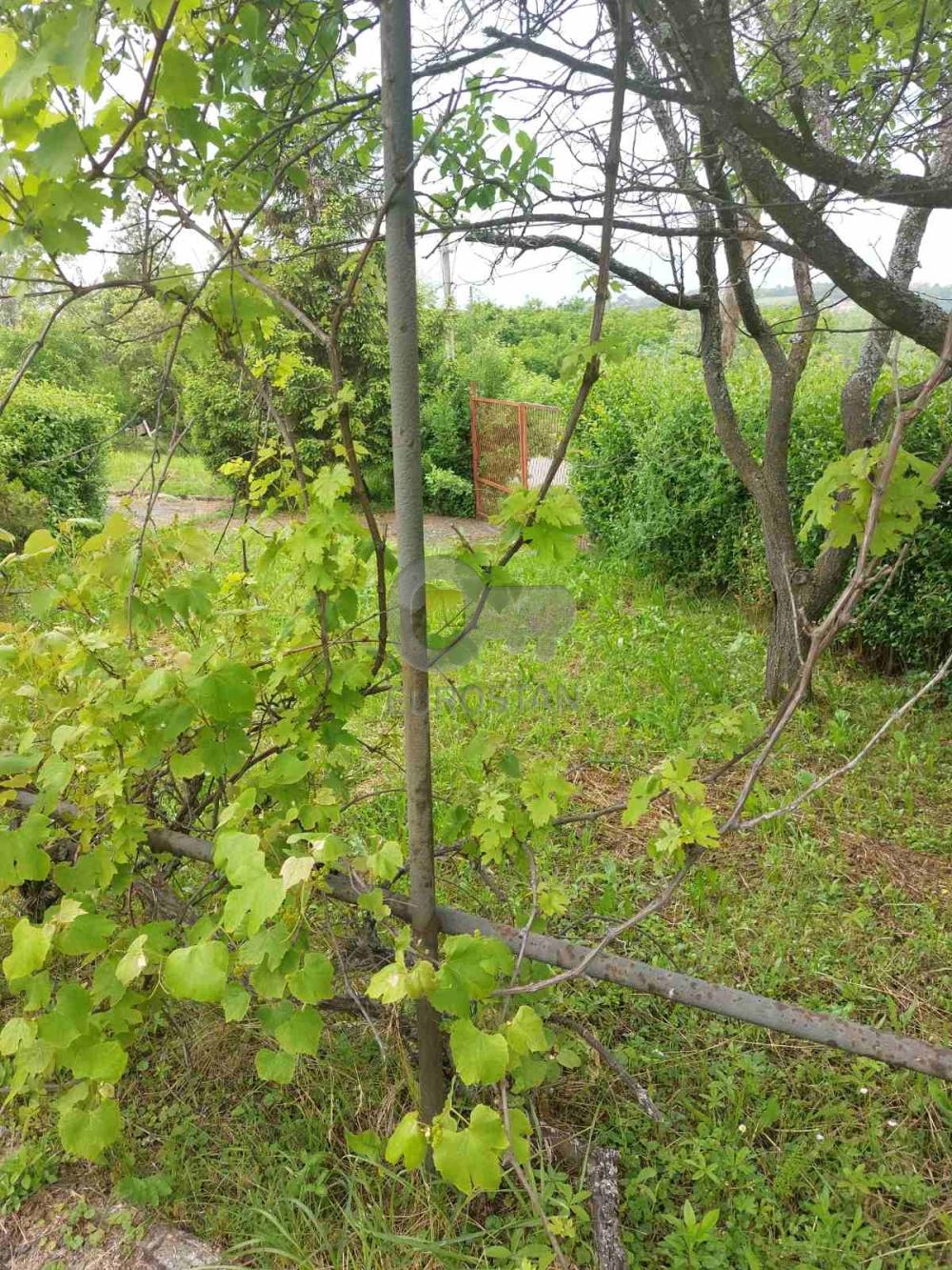 Slika 8 - Milinka Jelića,  Kuća na prodaju, 99m2, 59.000€