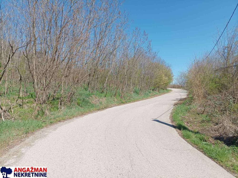 Glavna slika - Plac na prodaju, Sopot, Popović, 86.000€