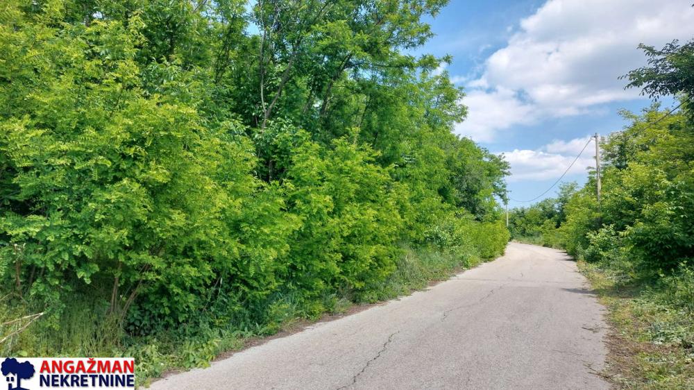 Slika 2 -  Plac na prodaju, Sopot, Popović, 86.000€