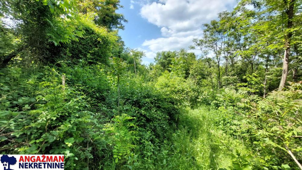 Slika 1 -  Plac na prodaju, Sopot, Popović, 33.000€