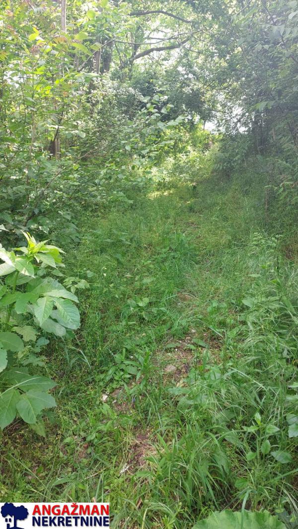 Slika 2 -  Plac na prodaju, Sopot, Popović, 33.000€