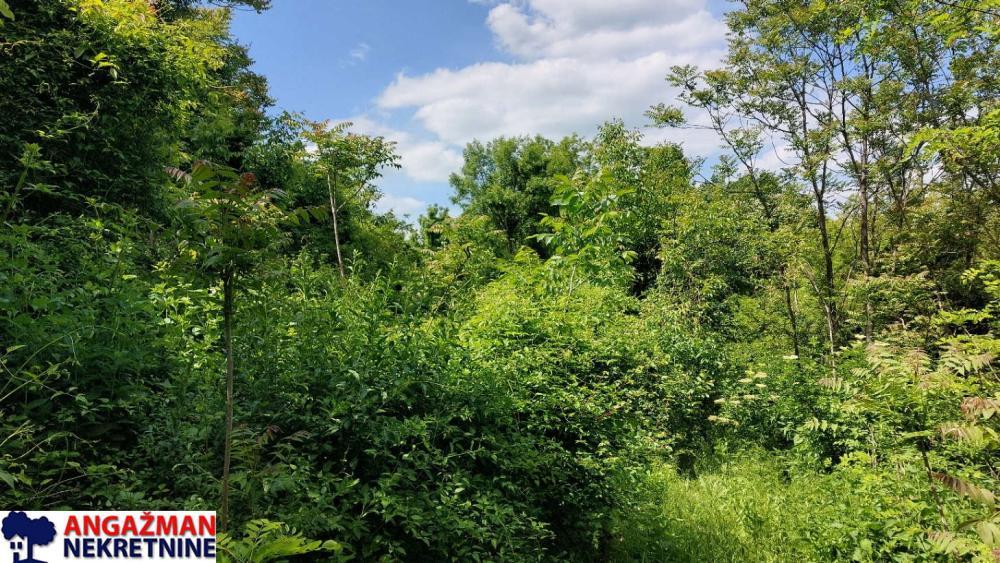 Glavna slika - Plac na prodaju, Sopot, Popović, 33.000€