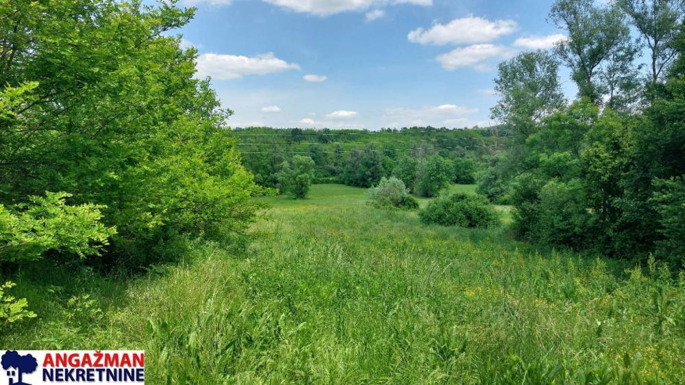 Glavna slika - Plac na prodaju, Sopot, Popović, 45.500€