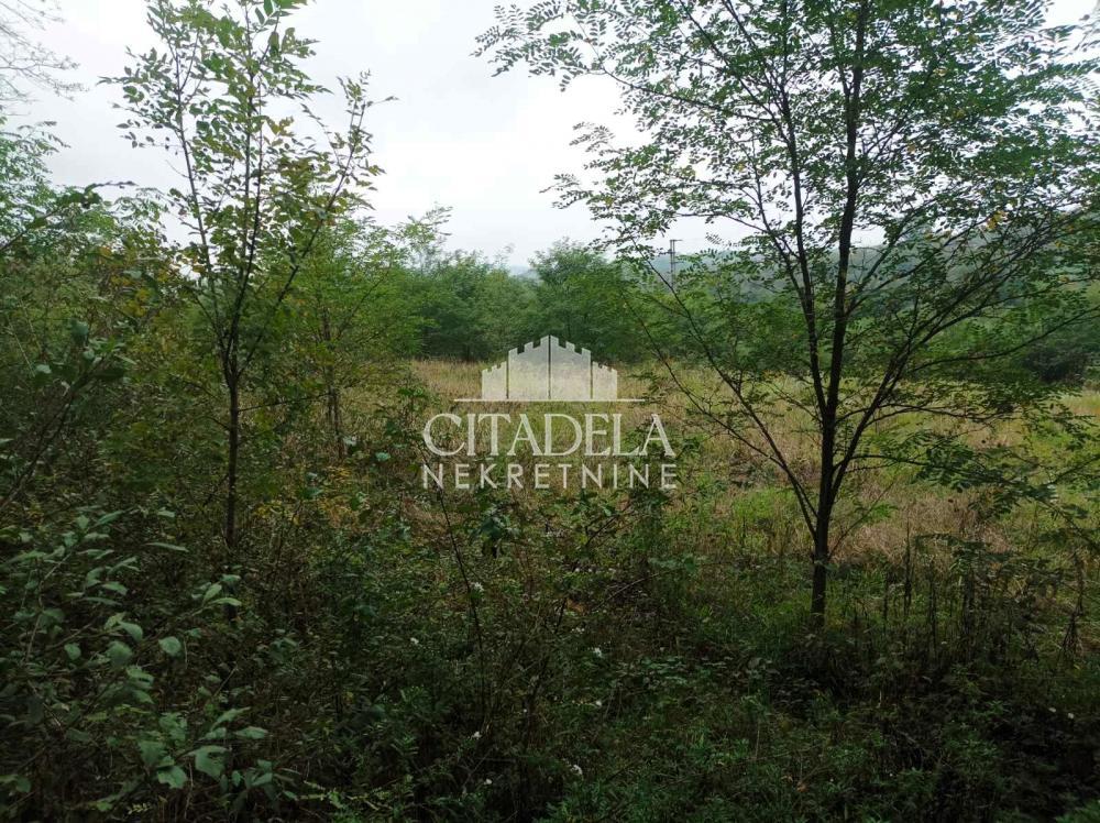 Glavna slika - Plac na prodaju, Sopot, Popović, 91.000€