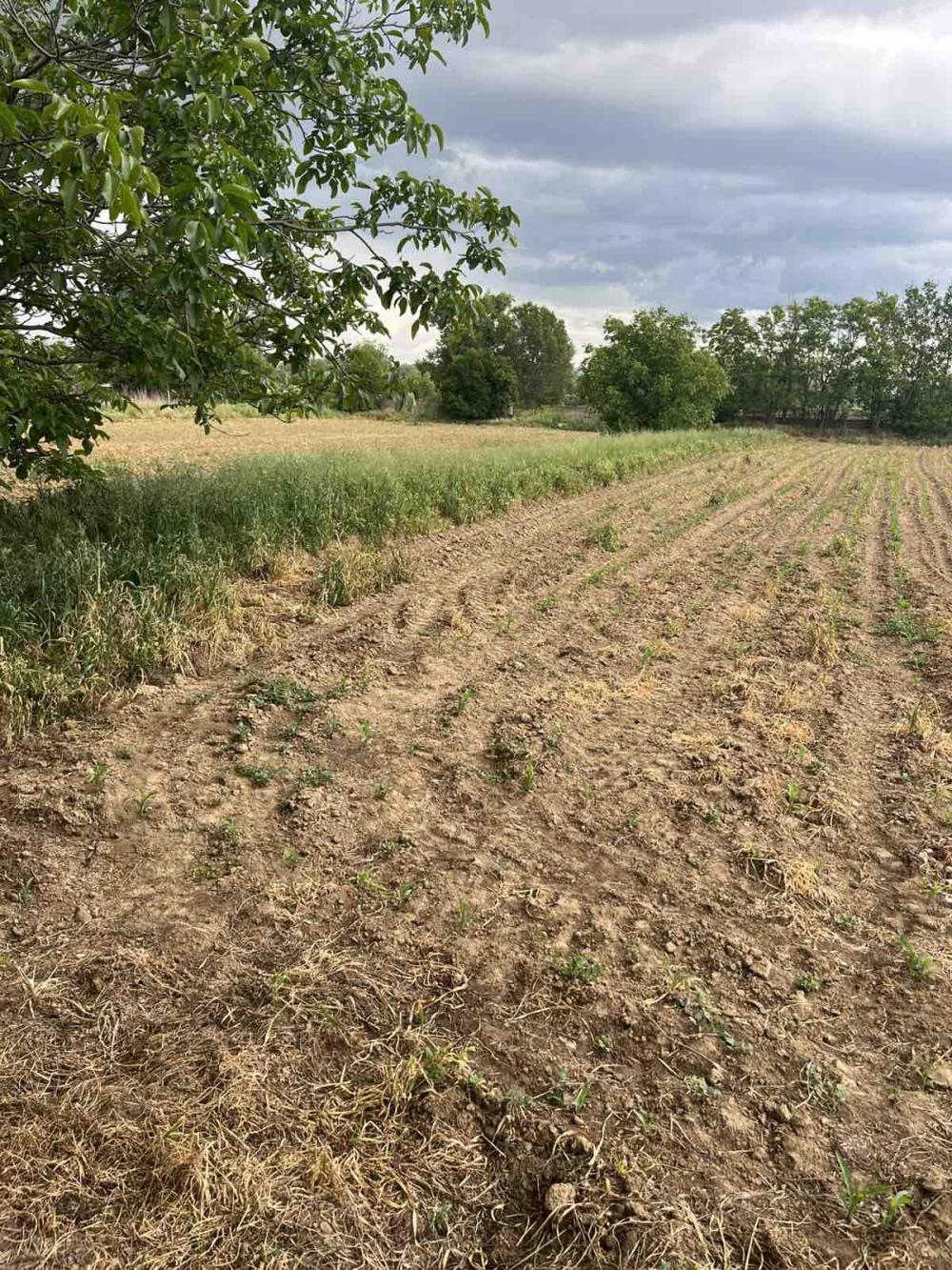 Slika 0 -  Plac na prodaju, Mramor, 28.000€