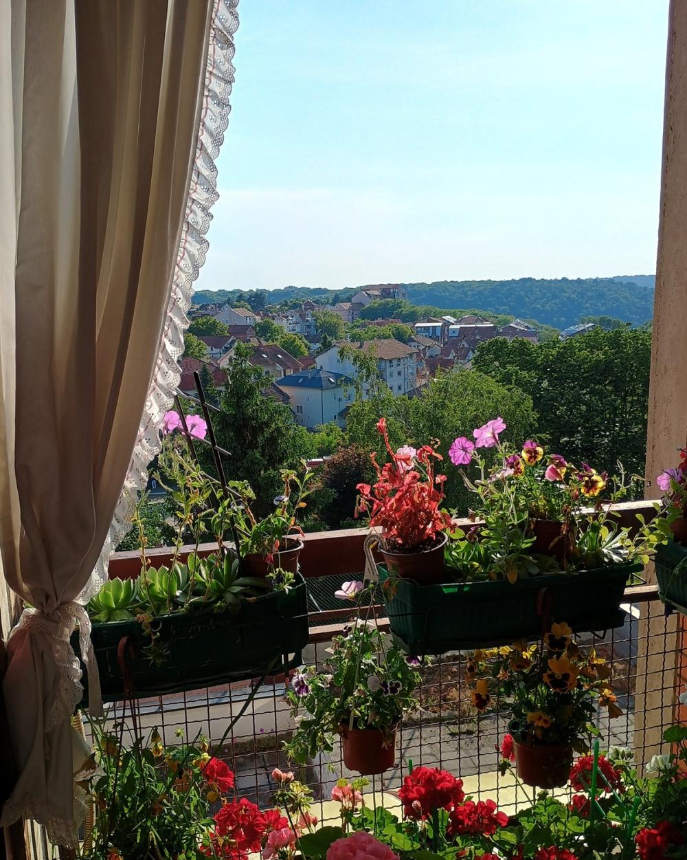 Slika 11 - Paunova, Četvorosoban stan na prodaju, 84m2, 203.000€