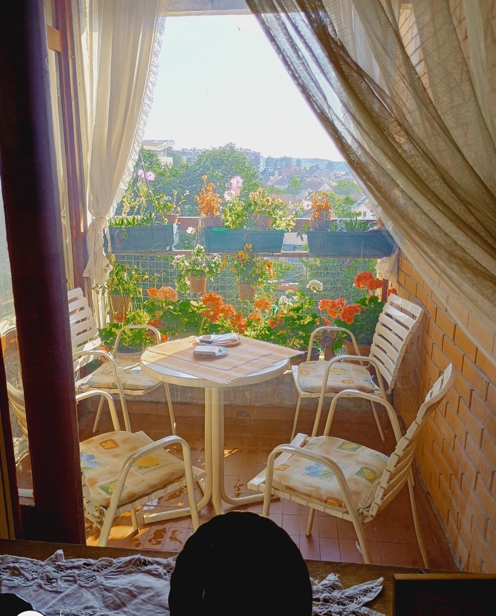 Glavna slika -Paunova, Četvorosoban stan na prodaju, 84m2, 203.000€