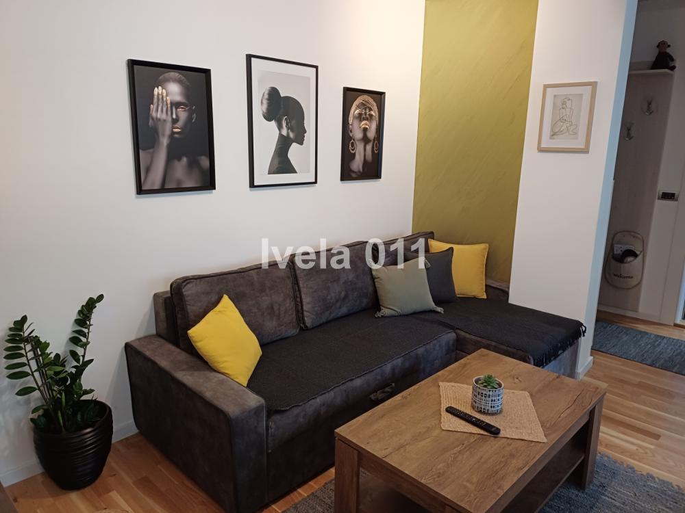 Slika 1 - Crnogorska, Dvosoban stan za izdavanje, 43m2, 600€