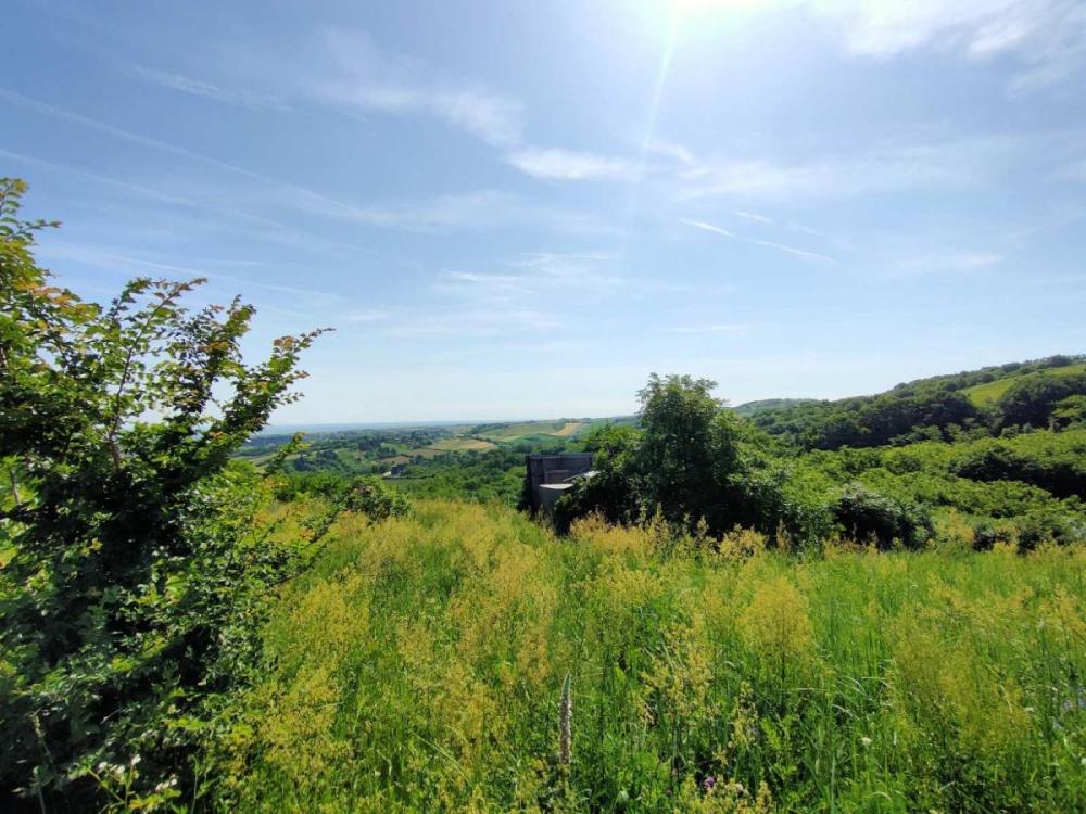 Slika 10 -  Plac na prodaju, Bukovac, , 115.000€