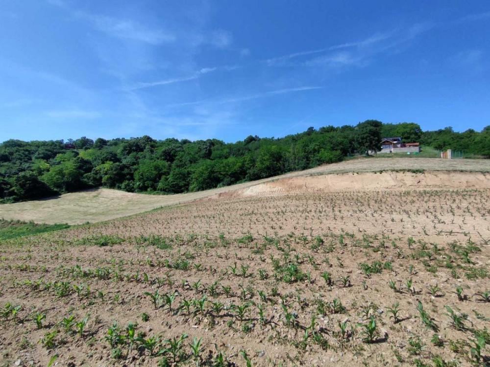 Slika 11 -  Plac na prodaju, Bukovac, , 115.000€