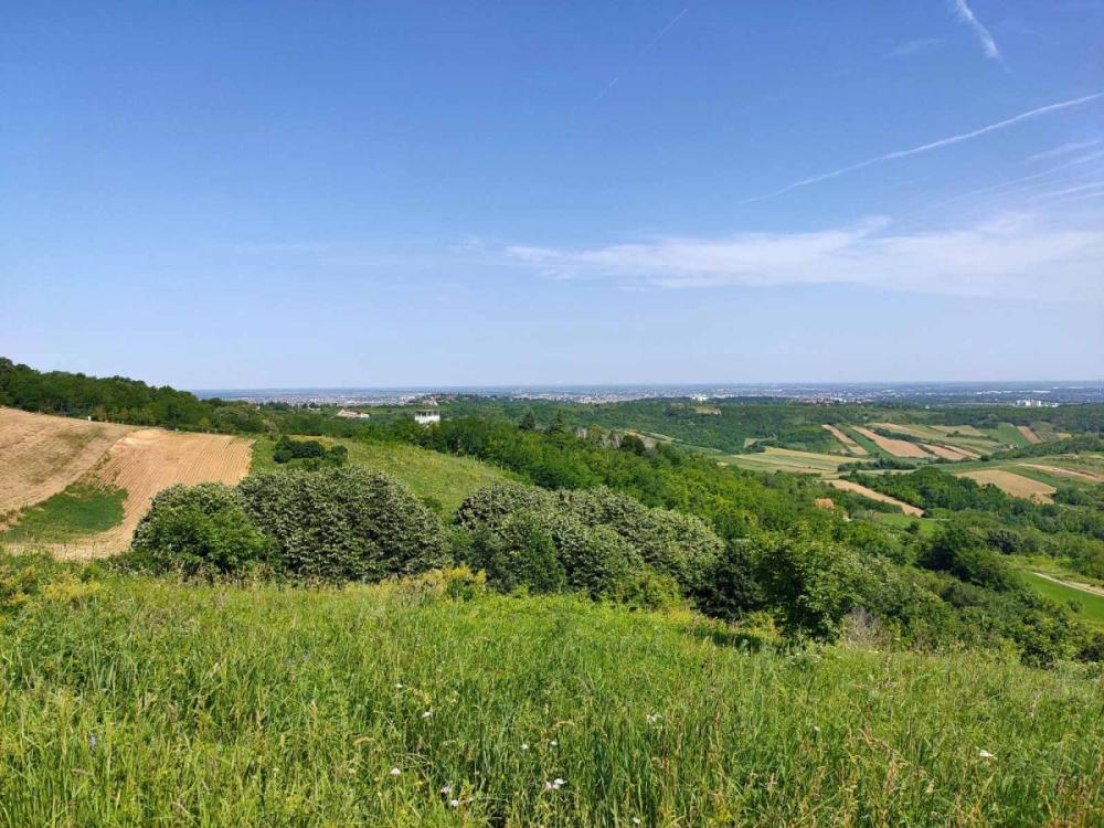 Slika 3 -  Plac na prodaju, Bukovac, , 115.000€