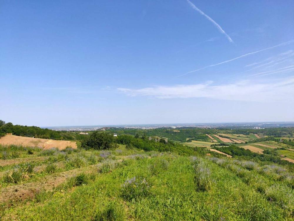 Slika 7 -  Plac na prodaju, Bukovac, , 115.000€