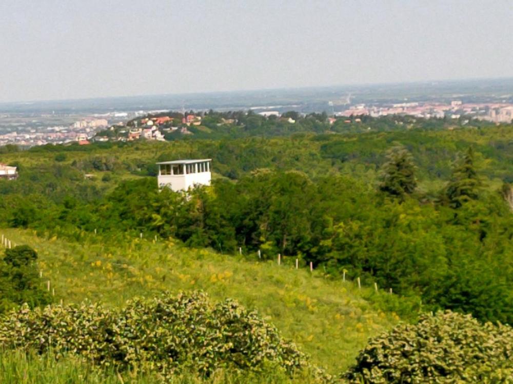 Slika 4 -  Plac na prodaju, Bukovac, , 115.000€