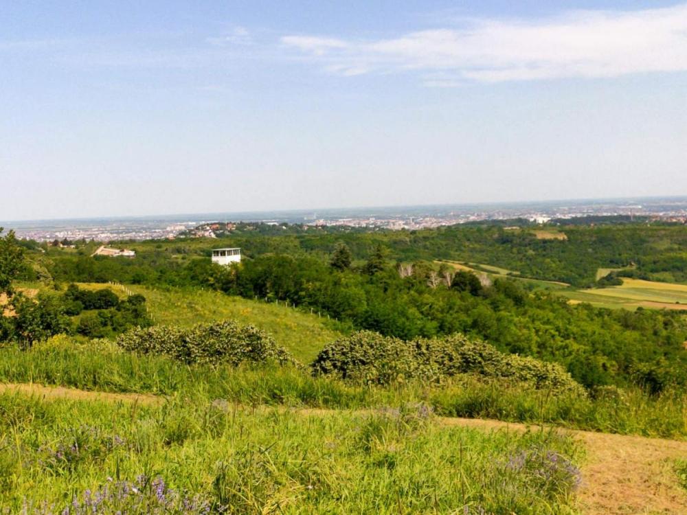 Slika 5 -  Plac na prodaju, Bukovac, , 115.000€