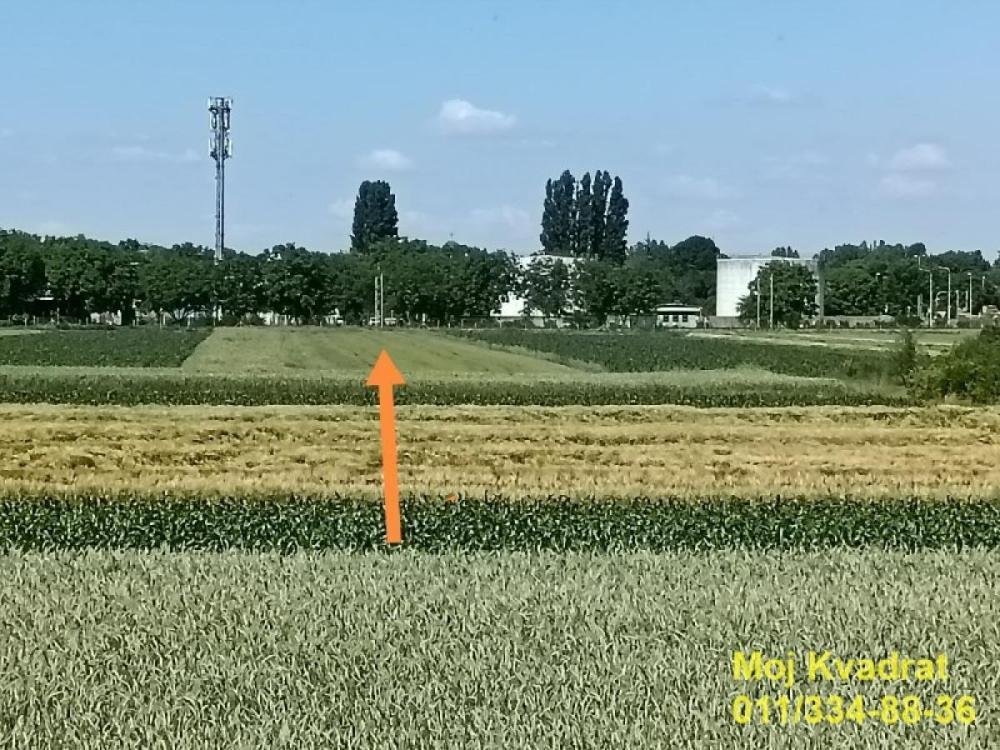 Glavna slika - Plac na prodaju, Zemun, Batajnica, 163.000€