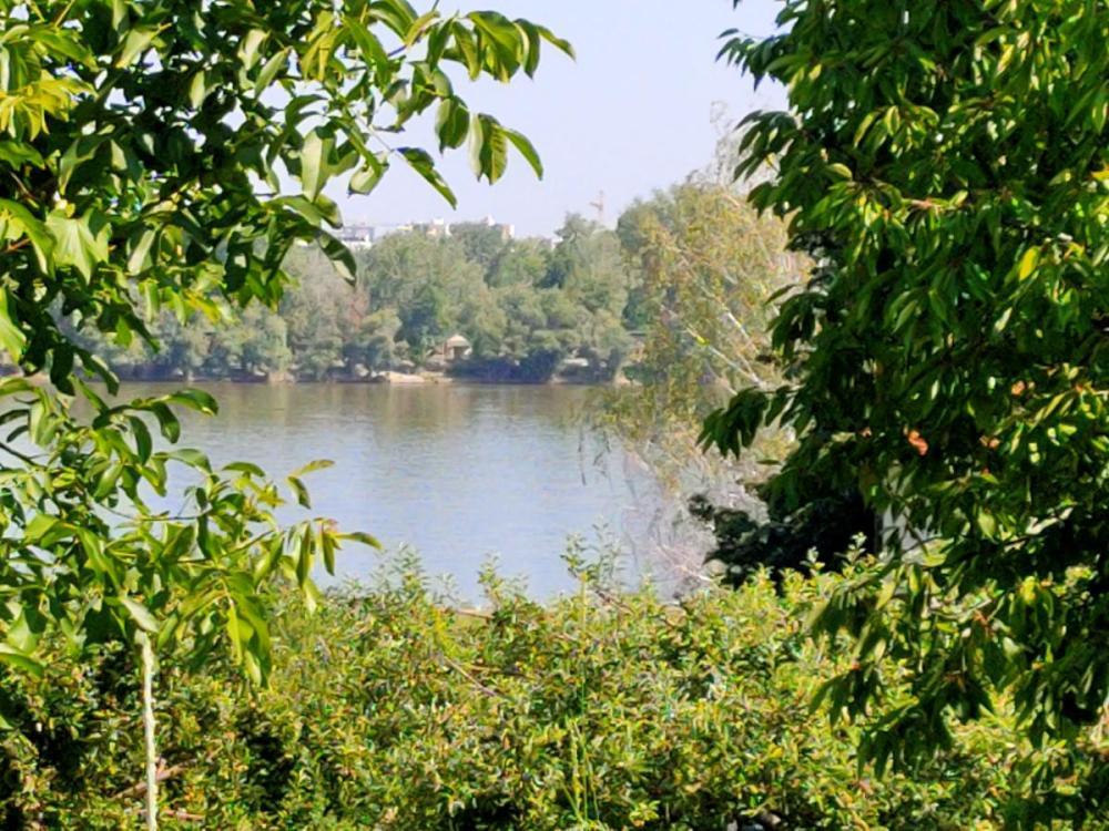 Glavna slika - Plac na prodaju, Sremska kamenica - Popovica, , 160.000€